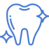 Teeth