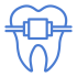 Teeth