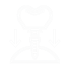 Teeth